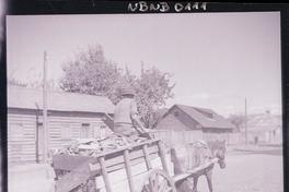 [Hombre transportando madera en una carreta tirada por un caballo