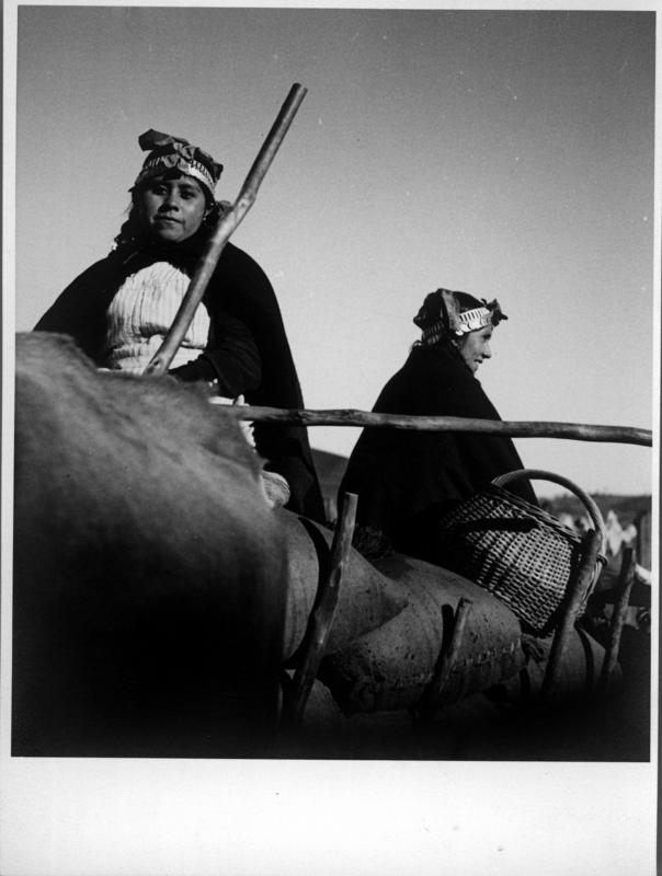 [Dos mujeres mapuches transportando sacos en una carreta]