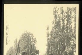 Familia se transporta en una carreta tirada por bueyes, en la Hacienda el Huique, hacia 1930.
