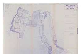 Plan regulador comunal de Quillón Francisco Otava V. R. y Marco A. López T. [material cartográfico]