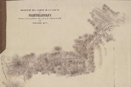 Bosquejo del camino de la Laguna de Nahuelhuapi tomado en la expedición del 4 al 29 de febrero de 1856