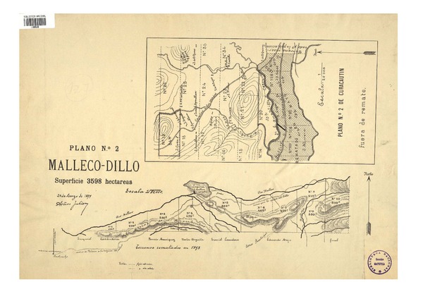 Malleco-Dillo superficie 3.598 hectáreas : plano N° 2. [material cartográfico] :