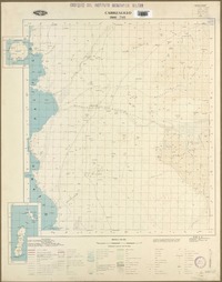 Carrizalillo 2900 - 7115 [material cartográfico] : Instituto Geográfico Militar de Chile.