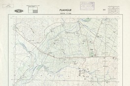 Puangue 333730 - 711500 [material cartográfico] : Instituto Geográfico Militar de Chile.