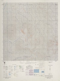 Volcán Miño 210730 - 683000 [material cartográfico] : Instituto Geográfico Militar de Chile.