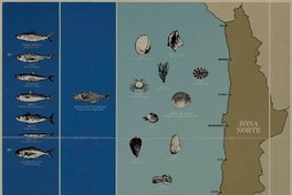 Carta de los principales recursos pesqueros de Chile  [material cartográfico] Instituto de Fomento Pesquero, filial Corfo.