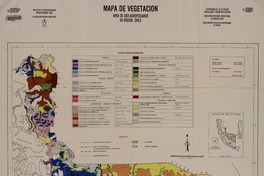 Mapa de vegetación área de uso agropecuario XII Región, Chile [material cartográfico]: Antonio Lara A., Gustavo Cruz M. ; dibujo y diagramación Aldo Roba C.