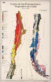 Carta de las formaciones vegetales de Chile  [material cartográfico] Víctor Quintanilla Pérez.