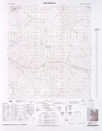 Cerro Carrizalillo  [material cartográfico] Instituto Geográfico Militar.