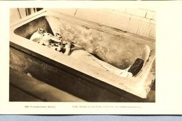 The King's outer coffin in sarcophagus 009 Tutankhamen series.