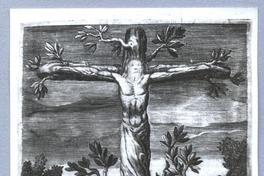 [Imagen de devoción popular, en árbol de Cristo Crucificado, Valle de Limache. Año 1634]