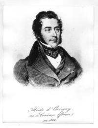 Alcide D'Orbigny