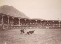 [Plaza de Toros, con un toro y un caballo, Perú
