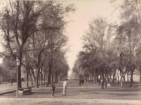 [Alameda de las Delicias : perspectiva de una calle con árboles y personas, actualmente es la Avenida Libertador General Bernardo O'Higgins]