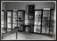 [Album Museo de Historia Natural de Concepción: Sección de Historia. Sala en que se guardan retratos y recuerdos de la Guerra del Pacífico]
