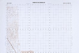 Pampa de los Amarillos  [material cartográfico] Instituto Geográfico Militar.